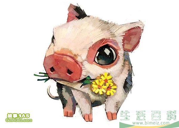 Са취