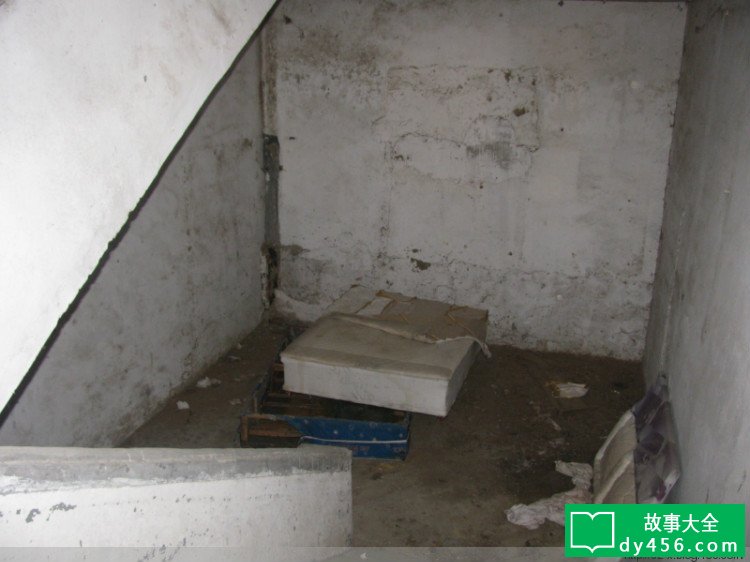 深圳龙岗葵涌镇致丽玩具厂灵探之旅 - SZ-X探灵团 - 深圳探爨-真?爨???-SZ-X爨???
