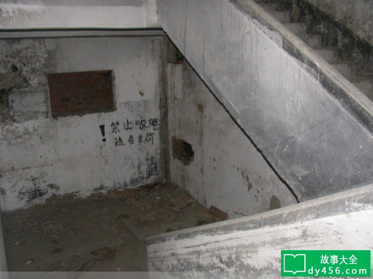 深圳龙岗葵涌镇致丽玩具厂灵探之旅 - SZ-X探灵团 - 深圳探爨-真?爨???-SZ-X爨???
