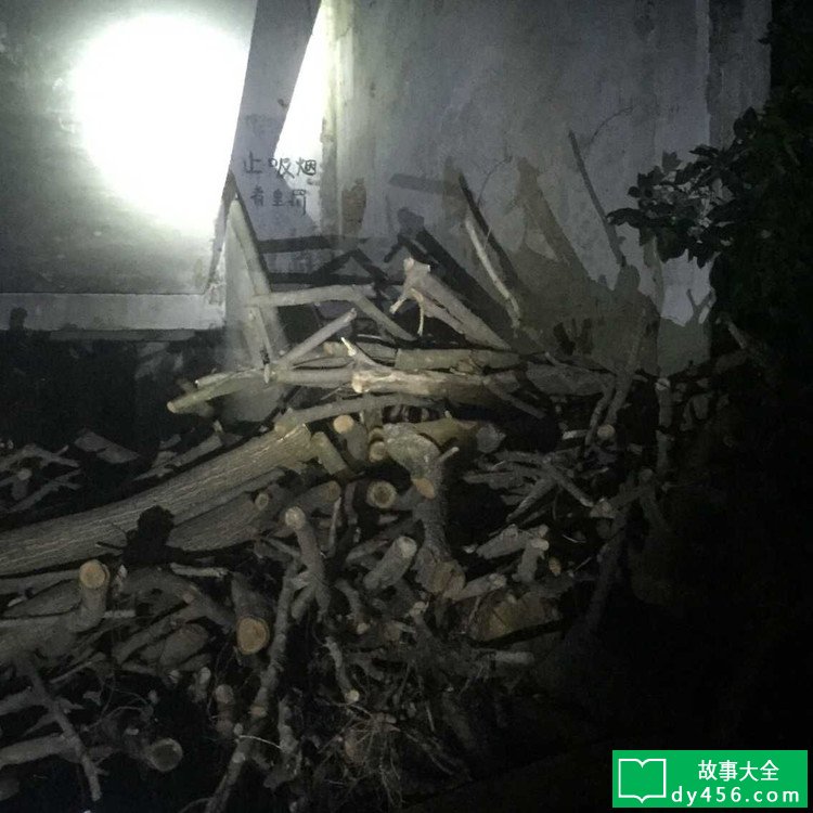 深圳龙岗葵涌镇致丽玩具厂灵探之旅 - SZ-X探灵团 - 深圳探爨-真?爨???-SZ-X爨???