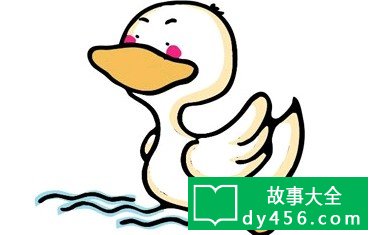 鸭子父子挖泳池