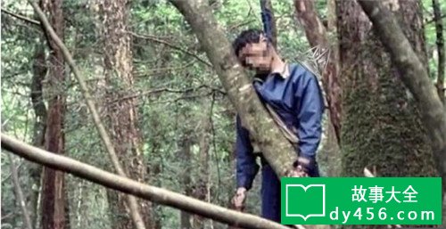 日本的恐怖杀人森林 每走20分钟就能遇到一具死尸