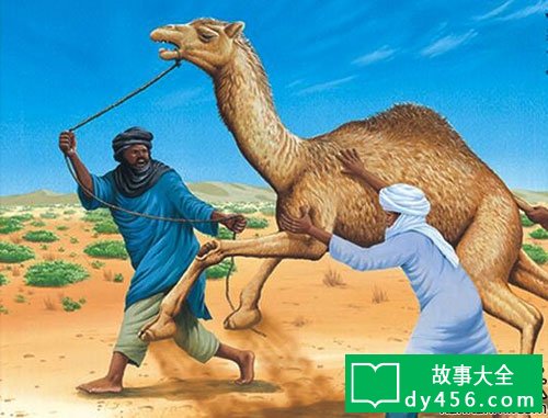 一千零一夜故事之《骆驼和它的主人》