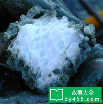 百慕大魔鬼三角真有超自然力量吗?揭开百慕大三角之谜真相