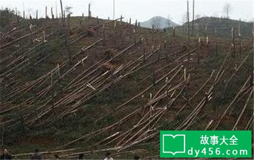 我国UFO工作:贵州空中怪车事发地,发作变异现象至今未解
