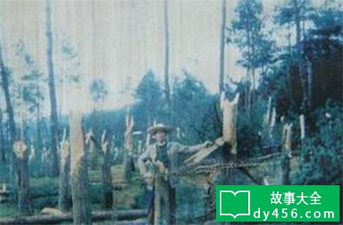 我国UFO工作:贵州空中怪车事发地,发作变异现象至今未解
