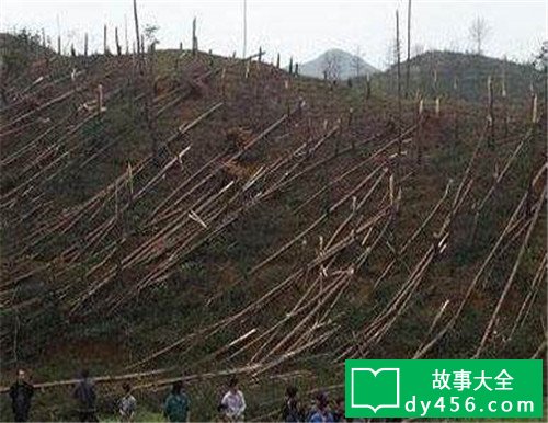 我国UFO工作:贵州空中怪车事发地,发作变异现象至今未解