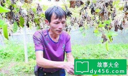 残疾人的励志小故事