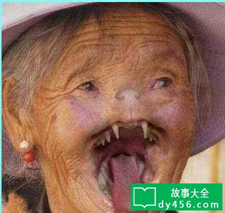 猫脸老太太形象