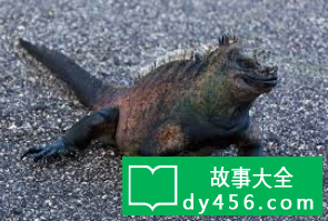 scp036ͼƬ