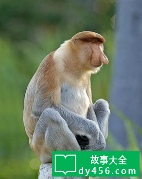 scp039图片
