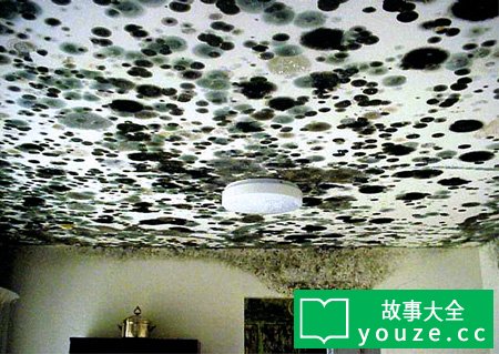 SCP020是什么?