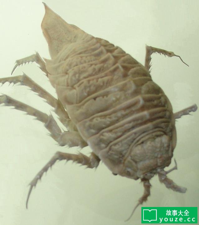 SCP150是什么?