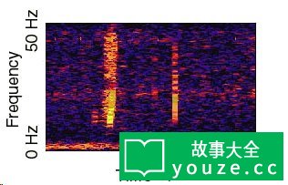 SCP169是什么?