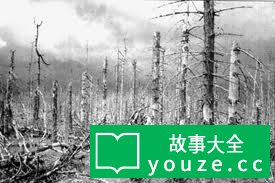 SCP186是什么?