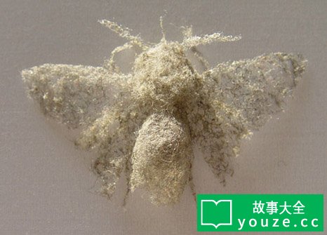 SCP188是什么?