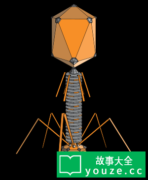 SCP371是什么?