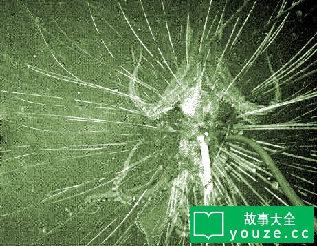 SCP252是什么?