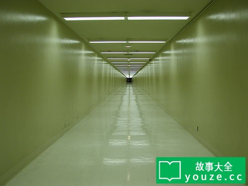 SCP398ʲô?