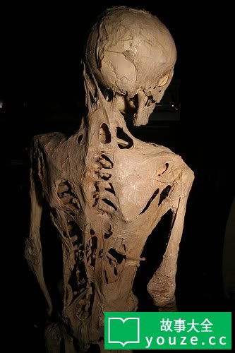 SCP439是什么?