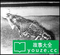 SCP473是什么?