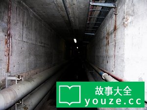 SCP479是什么?
