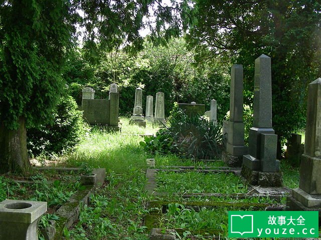 SCP550是什么?