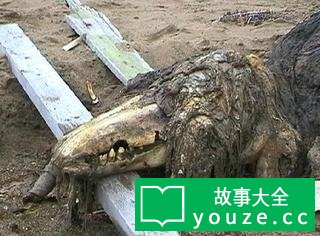 SCP682是什么?
