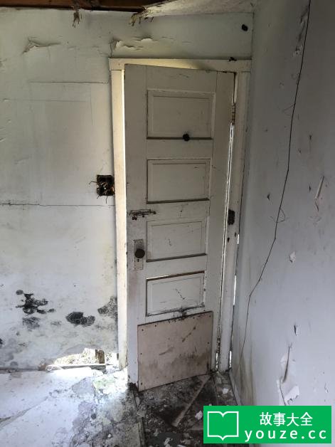 SCP703是什么?
