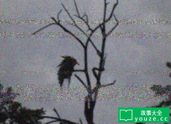 SCP746是什么?