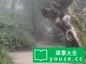 SCP860是什么?