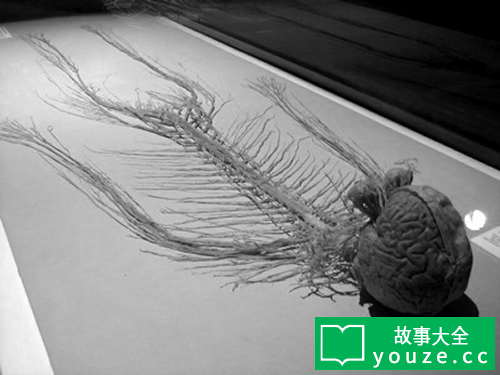 SCP1027是什么?