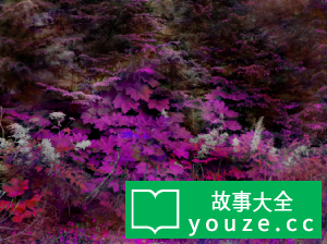 SCP1009是什么?