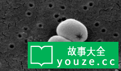 SCP1121是什么?