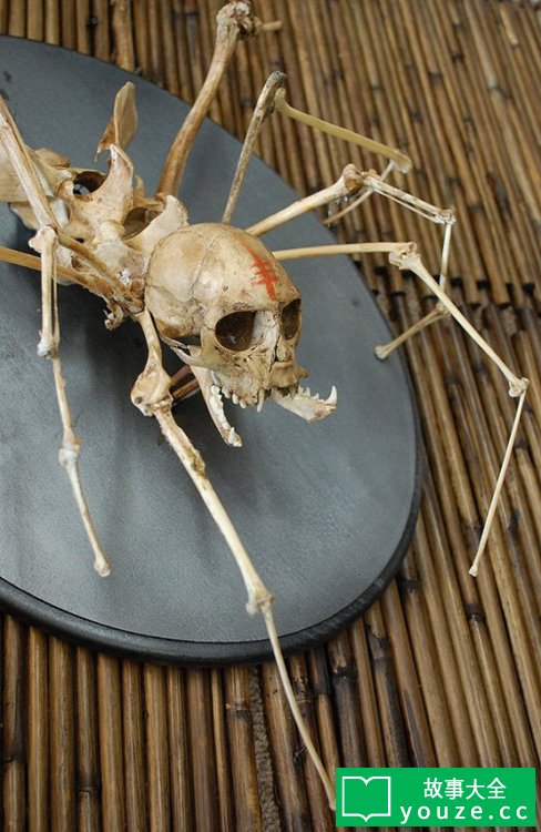 SCP1326是什么?