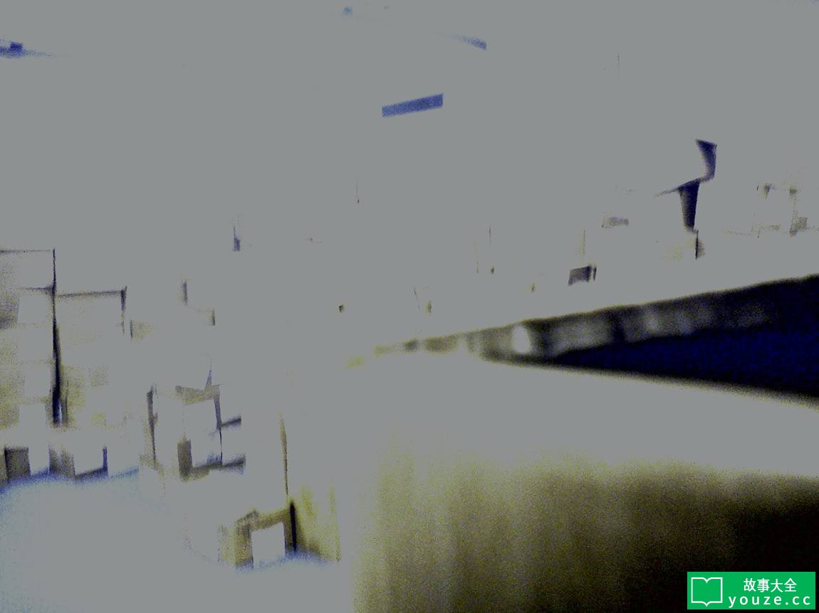 SCP1355是什么?