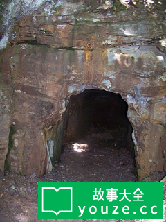 SCP1395是什么?