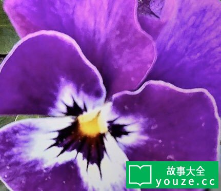 SCP1513是什么?