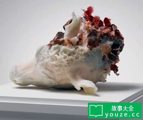 SCP1554是什么?