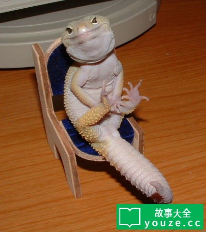 SCP2014是什么?