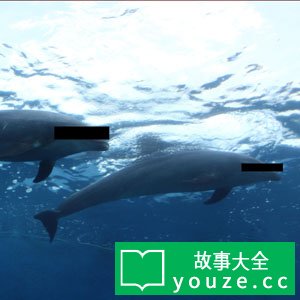 SCP2025是什么?