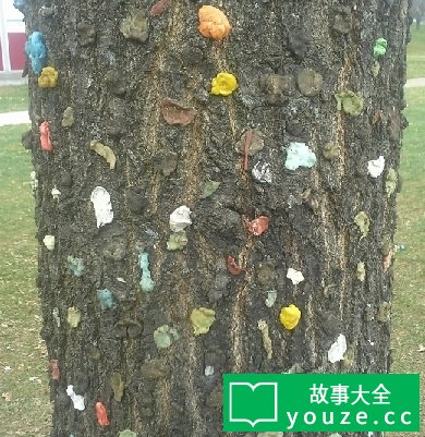 SCP2033是什么?