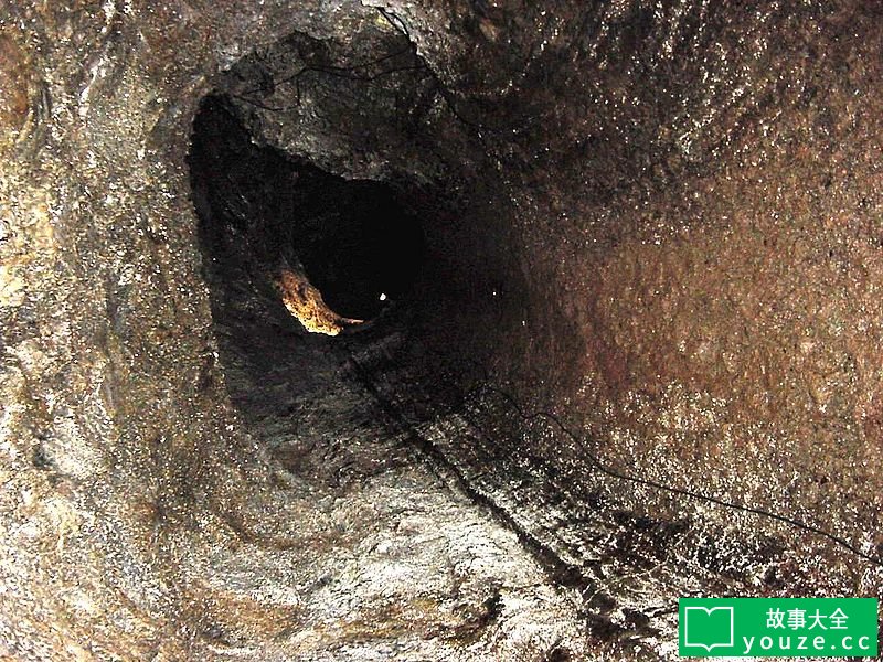 SCP2191ʲô?