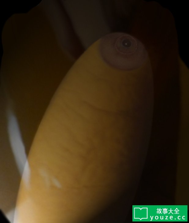 SCP2195是什么?