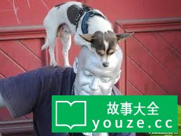 SCP2200是什么?