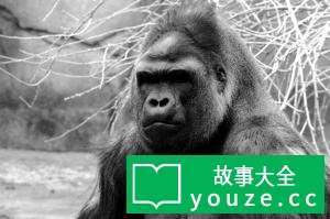 SCP2292是什么?