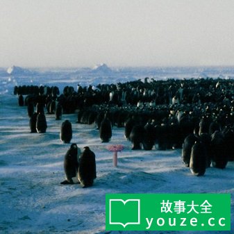 SCP2296是什么?