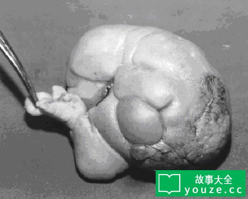 SCP2254是什么?