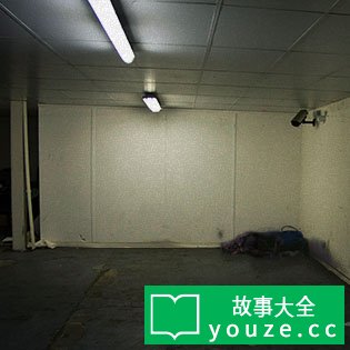 SCP2373是什么?
