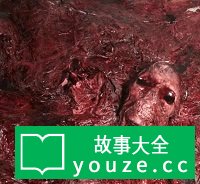 SCP2385ʲô?